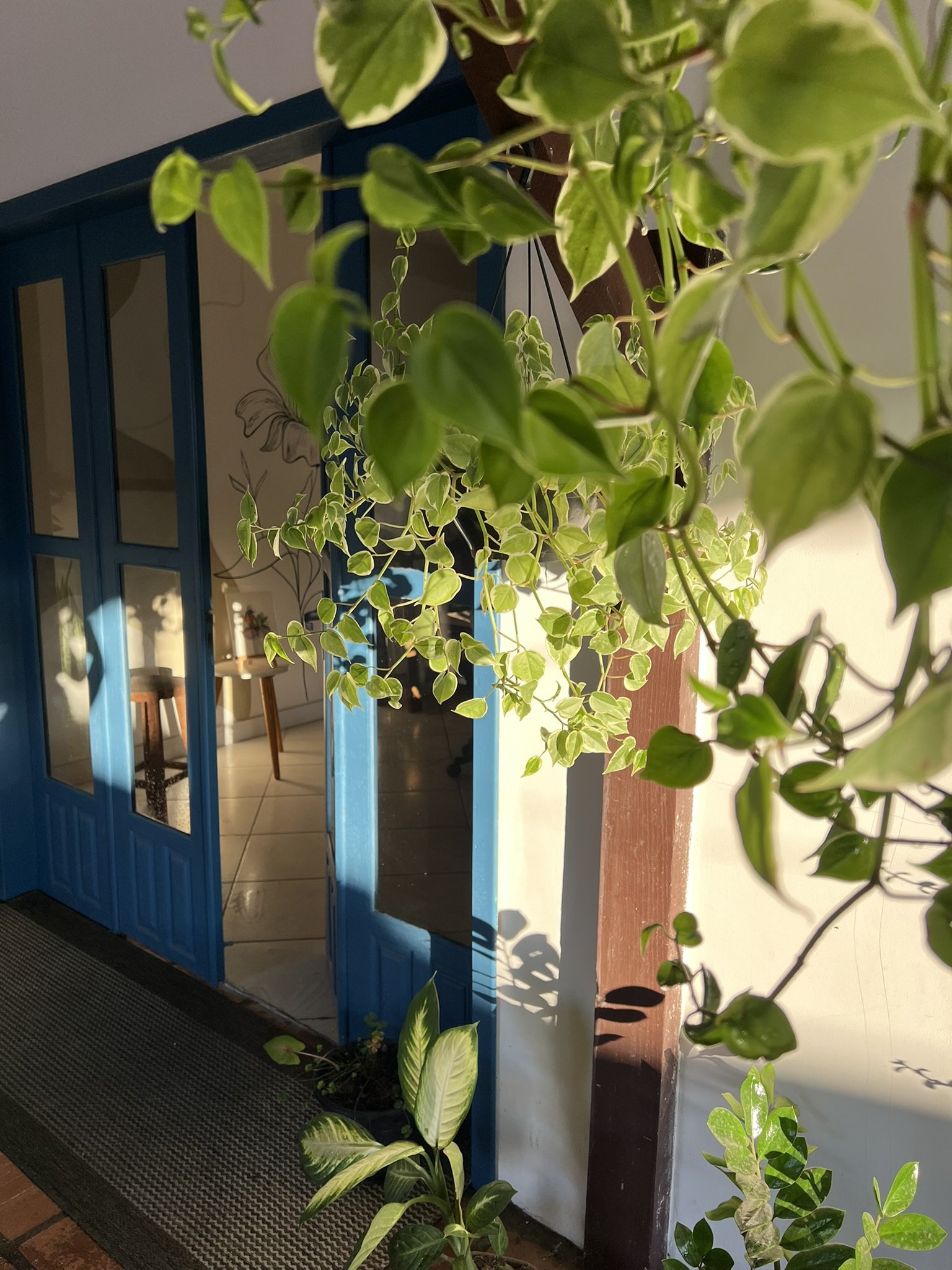 Espaço Arte e Sintonia Blumenau — ambiente 2