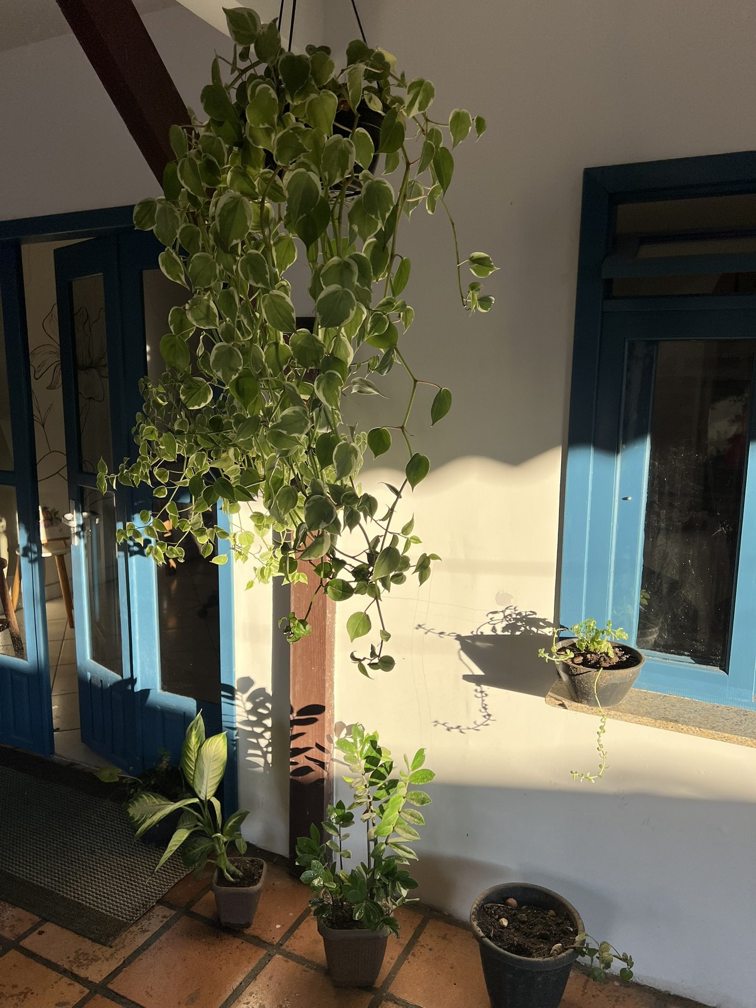 Espaço Arte e Sintonia Blumenau — ambiente 3