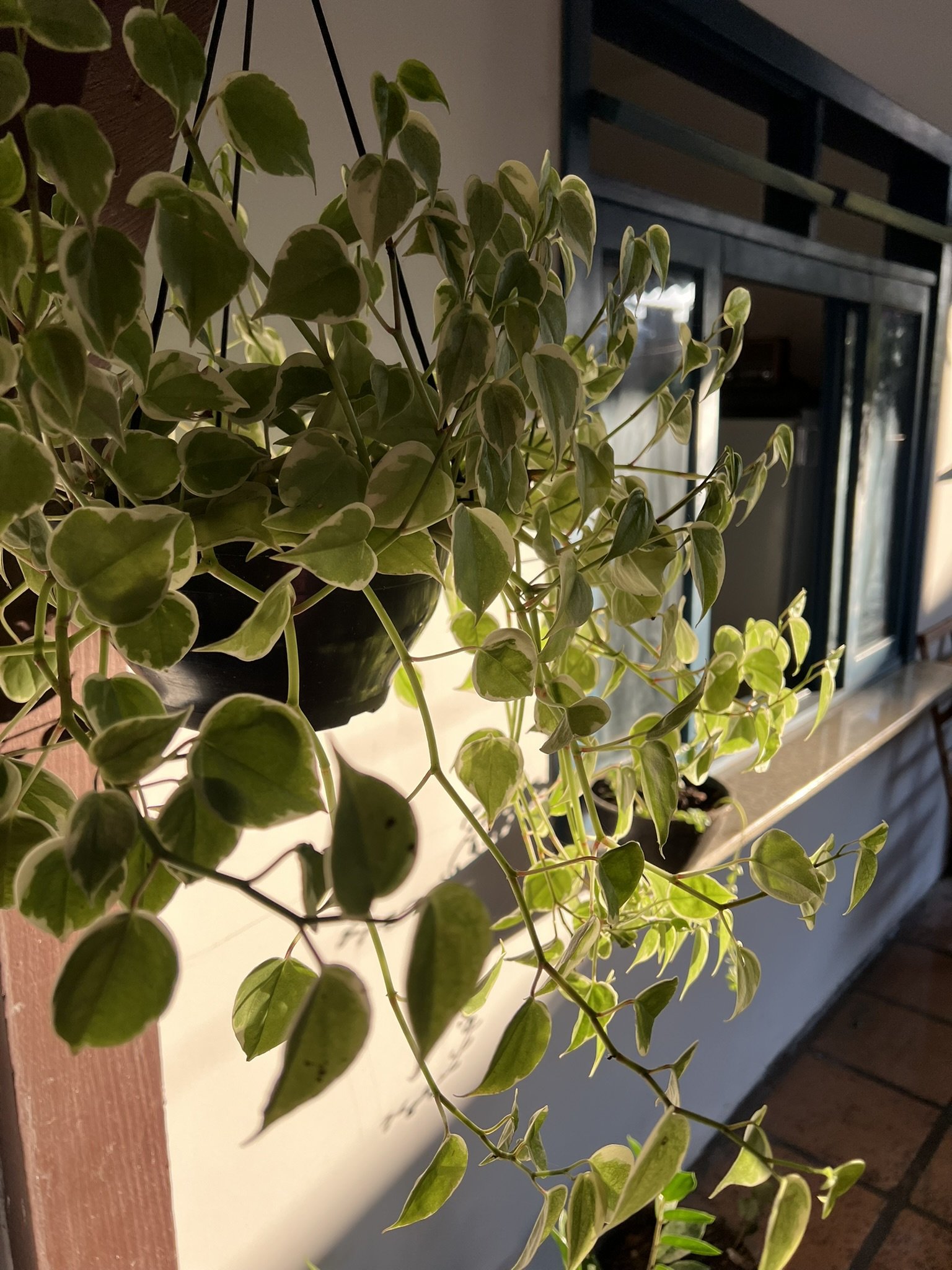 Espaço Arte e Sintonia Blumenau — ambiente 4