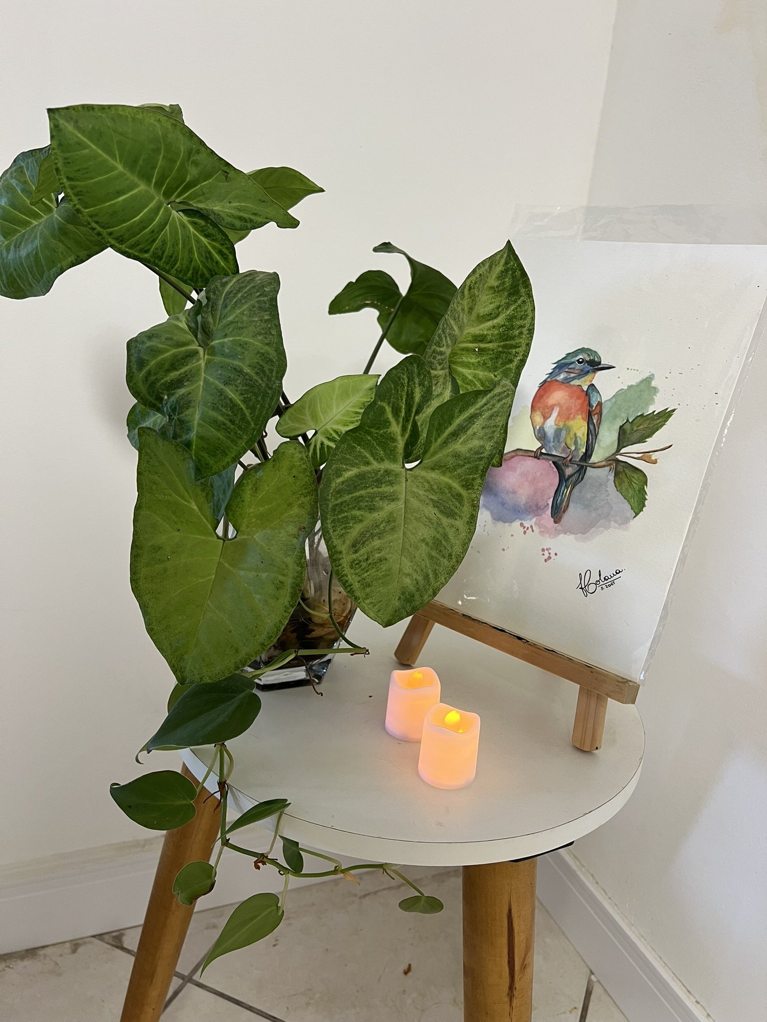 Espaço Arte e Sintonia Blumenau — ambiente 8