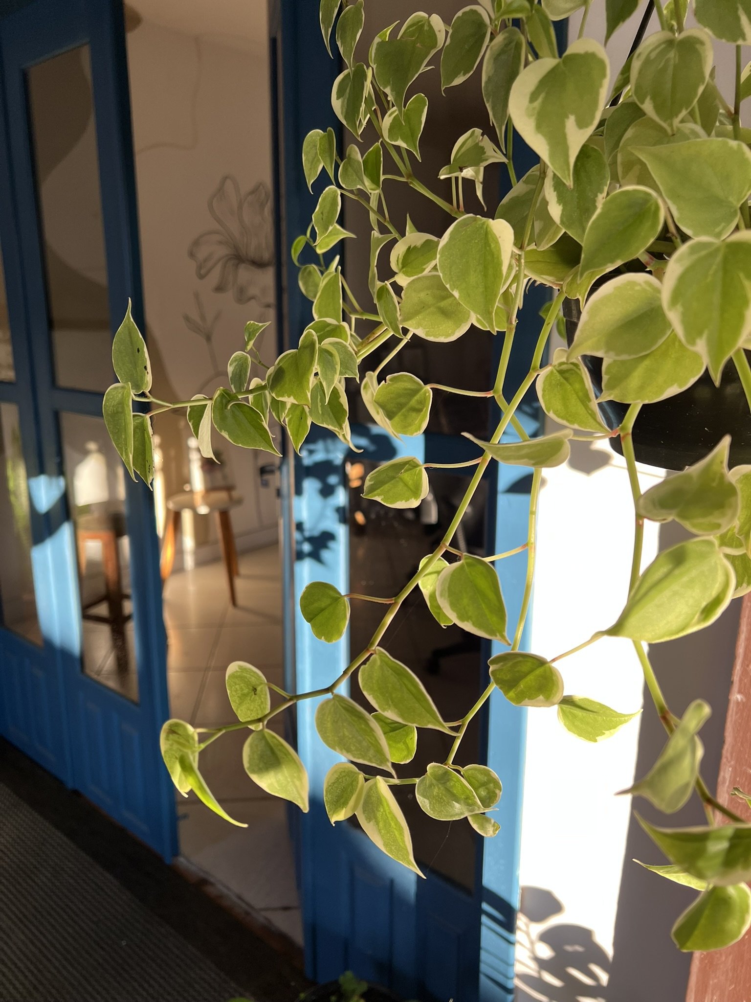 Espaço Arte e Sintonia Blumenau — ambiente 10