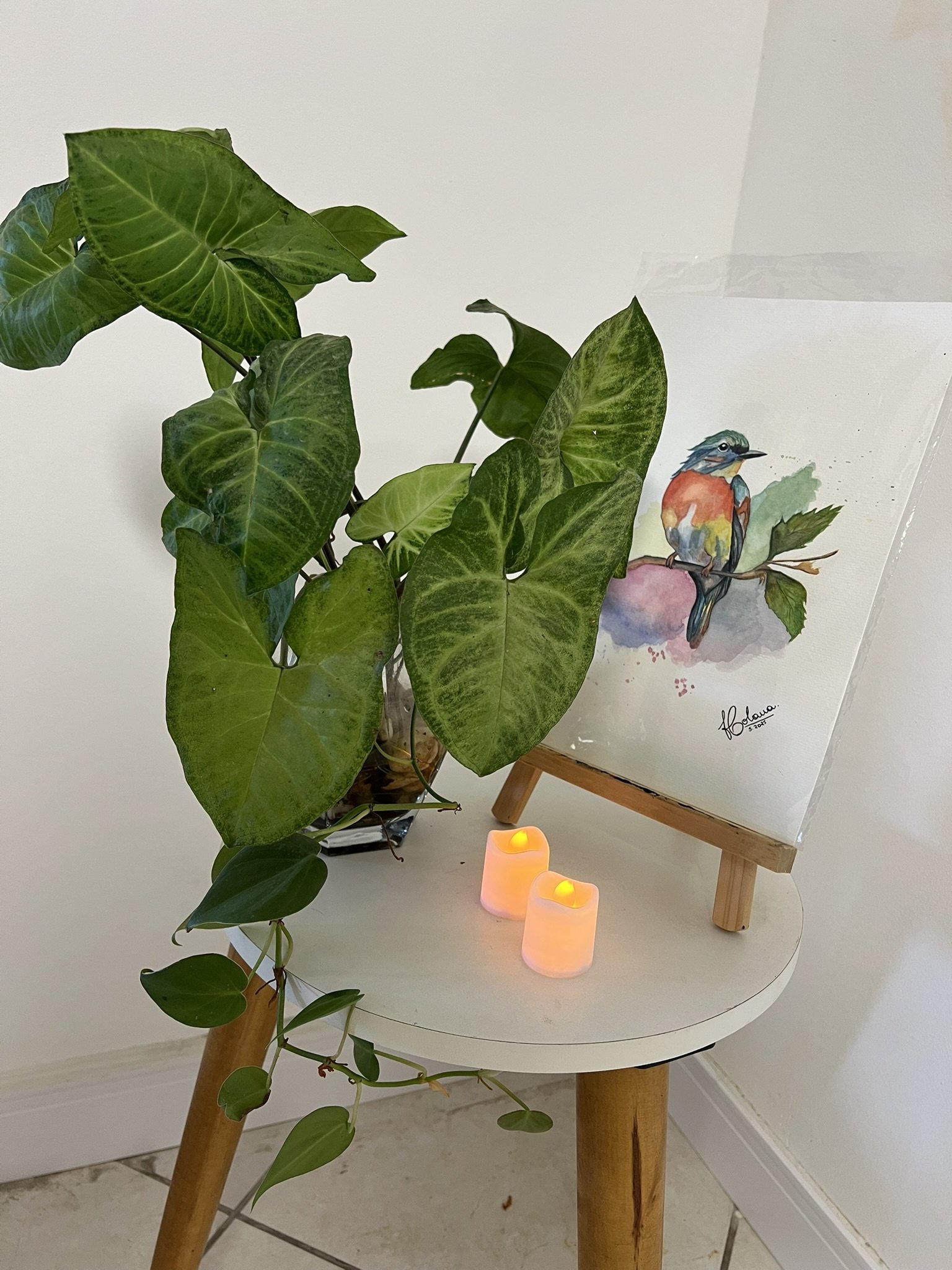 Evento de pintura Holana Art — momento 43
